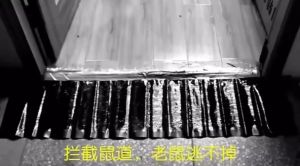 HIONE Big Size Mouse Board Sticky Mice Glue Trap High Effective Rodent Rat Snake Bugs Catcher（COD）