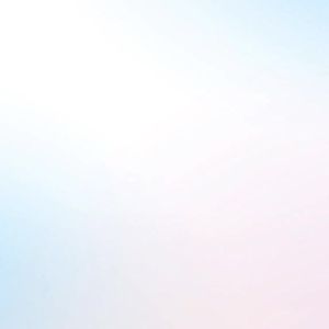 Fashion Skirt ticoat Adjustable Princess Skirt Flower Crinoline Tutu Skirt Children 3 Hoops Girls White Lace儿童公主裙衬裙女童小礼服蓬蓬裙婚纱长裙