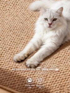 fansi | Washable Cat Scratch Resistant Easy-Care Plain Color Jute-Like Rug