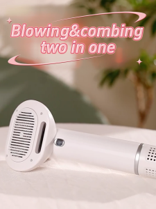 Petscaso 2-in-1 Pet Comber & Dryer - Quick Dry Gentle Temperature One-Click Hair Removal