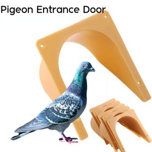 Pigeon Cage Door Dove Arch Door Entrance Door Export Plastic Supplies Pigeon Door 1PC/5PCS