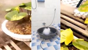 เครื่องทำควัน ทำหมอก รุ่น3/5/10หัว เครื่องสร้างควัน พร้อมไฟLED อุปกรณ์ตกแต่งสวน