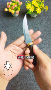 PISAU D2 Pisau Dori Hummingbird Jepang Pisau Daging DORI Mongolia Klife PISAU DAPUR PISAU TULANG PISAU SAYUR