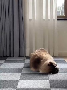 พรมไนลอน กาวในตัว พรมจิ๊กโซว์ กว้ง30ยาว30ซม. ตัดเองได้ ตกแต่งห้องนอน Rugs & Carpets