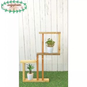 Hiasan Dinding Ambalan Kayu & Tanaman Hias Mini