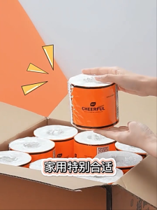 (NEST) BOTARE Cheerful Color Toilet Paper Roll / 5Ply / Boxes / Bathroom / Accessories