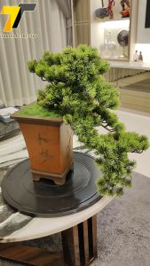 บอนไซปลอม บอนไซจำลอง ทรงตกกระถางสูง แบบ A4