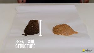 1 Kilo Humic Growth - Organic NPK and Foliar Fertilizer for Plants Vegetables Corn and Rice Better than Humus - NPK