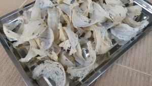 รังนกนางแอ่นแท้ 100% รังนกแห้งแบบไม่ได้ทำความสะอาด ราคาต่อ 100 กรัม (10-12 รัง) รันกดิบ รังนกแท้ นะคะ