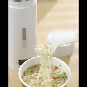 316 Stainless Steel Portable Electric Kettle 500ml with Auto Shut-Off & Boil Dry Protection