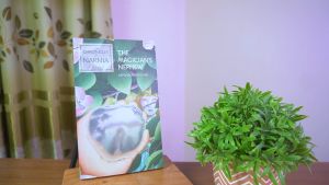 Buku Novel The Chronicles of Narnia : Keponakan Penyihir (The Magician's Nephew)