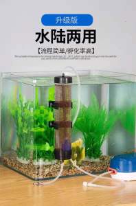 BBS Artemia Eggs Incubator Eggs Incubator Hatchery Artemia Eggs for Aquarium Brine Shrimp Eggs