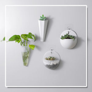 Hộp Đựng Cây Treo Tường Bằng Nhựa Đơn Giản Hiện Đại Hộp Đựng Cây Thủy Văn Treo Tường Hộp Đựng Cây Cỏ Hộp Đựng Hoa