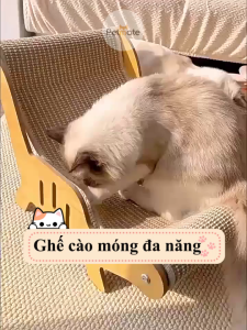Giường Cho Mèo Cào Móng Petmate Võng Cho Mèo Ghế Cào Móng Mèo - Phụ Kiện Đồ Chơi Đa Năng Bền Đẹp