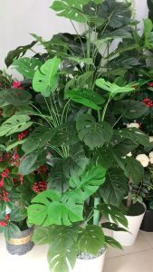 Cây trầu bà lá xẻ - Size 160cm - kèm chậu và sỏi trắng - Cây giả hoa lụa trang trí nhà cửa