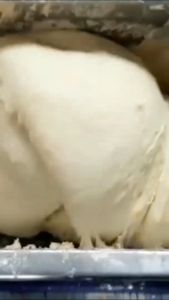 Dough Mixer OSSEL HO25 Mixer Adonan Berat Horizontal Mixer Mie HO-25B