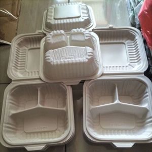 10 pcs Mealbox 3 sekat / non sekat