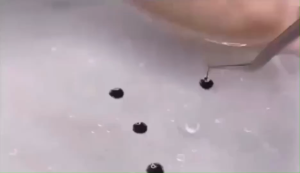 กาวสำหรับต่อขนตา H900 แห้งเร็ว1-2วิ ติดทน6-7สัปดาห์ ใช้สำหรับช่างต่อขนตา พร้อมส่งในไทย