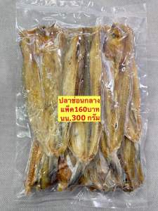 ปลาช่อนทะเลกลางปลาช่อนทะเลปลาช่อนขนาด300กรัม