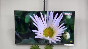 TIVI A PRO 65 R3/64/144hz MAN HINH TRAN VIEN 2025 CHIP A73