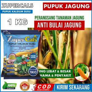 (PUPUK TERBAIK) Untuk Jagung Lebat Anti Bulai Busuk Batang Daun dan Buah Jagung – Obat Nutrisi Pembesar Jagung – Fungisida Anti Bulai Jagung – Pupuk Pestisida Jagung – Pupuk Jagung Manjur Untuk Melebatkan dan Atasi Bulai Jagung Panen Maksimal