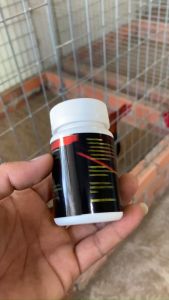 SUPER VIP 32 HỦ 60 VIÊN dành cho gà đá Đá bo như cây đập giúp cho chiến kê bo lớn hừng gà lì đòn Nuôi trước đá 7-10 ngày tăng bo mau tới pin.giúp gà lỏn lẻntăng nước máu hừng gà mặt đỏ.không nóng gà.