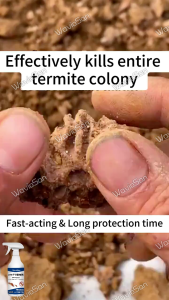 ‼️1 Free 1‼️ANKYO Termite extermination spray 500ml Anay killer spray Termite spray Double Power 10x Stronger Ultimate Termite Solution