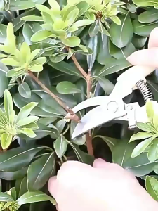 Kéo cắt tỉa cành làm vườn đa năng dụng cụ cắt cành cắt tỉa cành cây ăn quả chăm sóc hoa cây cảnh