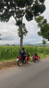 SLINCER ALUMINIUM NINJA R/ SS/ RR ORIGINAL WINSPEED LOGO READ BLACK COTING