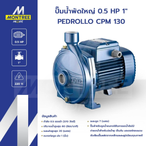PEDROLLO ปั๊มน้ำพัดใหญ่ 0.5 HP 1" รุ่น CPM 130 ปั๊มน้ำพุ จำหน่ายโดย Montree More