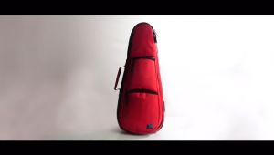 Zorc Official - Moraes | Tas Biola 4/4 | Case Violin Red