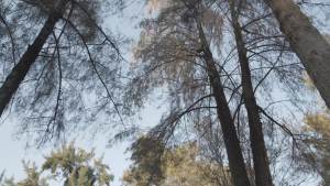 clothmile 9 Pcs 80s 90s Neon Headbands Outfit Accessories For Women Men Retro Vintage Fashion Sweatbands 90s Athletic Elastic Hairband for Hip Hop Party Style Hiking Cycling Running