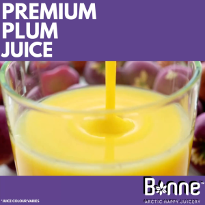 Bonne Finland Plum Nectar 1L | No Added Sugar High Fibre Finnish Juice | No Preservatives No Artificial Additives Halal