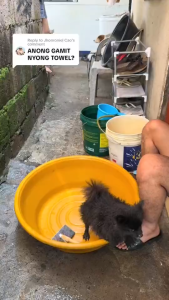 66x43cm Pet Dog Towel Bath Super Absorbent Towel Pet Grooming Towel Dogs Cats Dog Cat Accessories