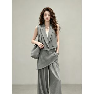 Elegant and Luxury Gray Suit Set