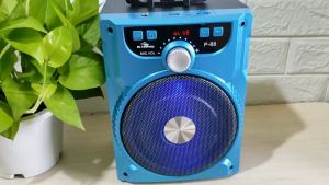 [HCM]Loa karaoke P88 Profit Ko Mic