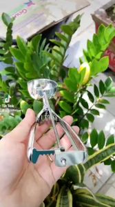 Muỗng múc kem inox đầu tròn - muỗng inox 304 loại 1