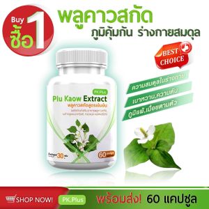 🔥ส่งฟรี ส่งไว🔥 PLU KAOW PK PLUS ผลิตภัณฑ์เสริมอาหาร พลูคาวชนิดแคปซูล (1 กระปุก 60 แคปซูล)