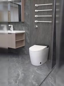 TEM | Smart Space-saving Toilets for Small Spaces