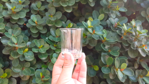 LuckyGlass Classic Shot Glass (12pcs/set)
