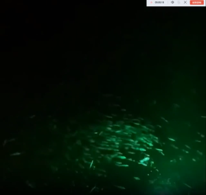 Lampu Celup Mancing Profesional LED Fishing Light 20Watt 12-24V Untuk Menarik Ikan Di Malam Hari
