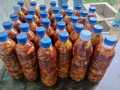 embrio ayam atau kapal selam umpan Galatama lele total dan induk. 