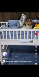 NEW AGE PET Aspen Bunk Pet-Bed Cushion ECOFLEX | Memory Foam | Removal Sleeve | Washable