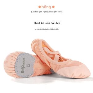 Giày Khiêu Vũ Lưới Co Giãn Nữ Nâu Camel Màu Sắc Thoáng Khí Giày Tập Luyện Mềm Giày Ba Lê Đặc Biệt Hình Đáy Móng Vuốt Mèo Không Buộc