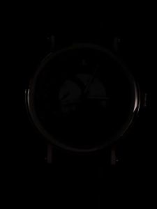 Mens Automatic Mechanical Watch5ATM Water ResistantSkeleton Luminous Dial24-Hour IndicatorCowhide Strap 42mm Large Dial