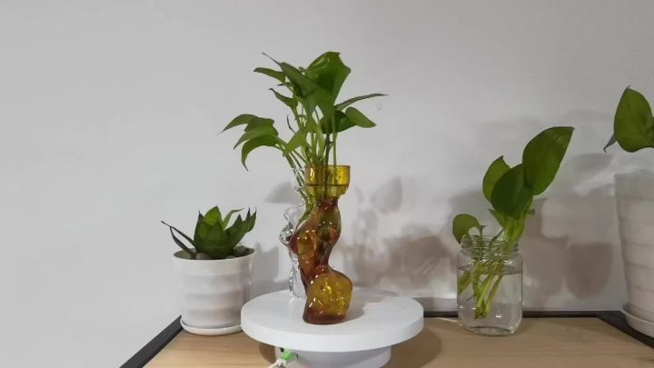 Propagation Vases for Plants Plant Propagation Jars Unique Body Avocado Vase Glass Planter Perfect for Seed Starting, Water Rooting and Home Decor