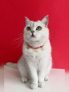 New Year Pet Cat Dog Rabbit Red Rope Adjustable Collar Lock Lucky Necklace CNY