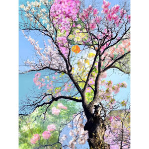 500 1000 1200 2000pcs Colorful Tree Landscape For Adults Home Decor Mindful Gift Birthday Calming Hobby Jigsaw Puzzle