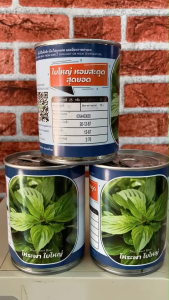 โหระพาใบใหญ่ โหระใบพลู โหระพา บรรจุ 25 กรัม (สิ้นอายุทำพันธ์ 02 / 70