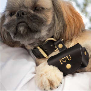 Laser Engraved Leather Necklace Wedding Ring Box Dog Lover Pet Ring Bag Fashionable Circle Pet Accessories Decorative Necklace